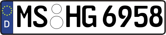 MS-HG6958