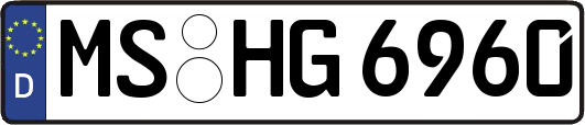 MS-HG6960