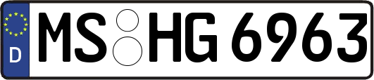MS-HG6963