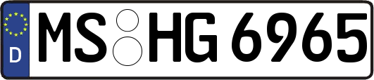 MS-HG6965