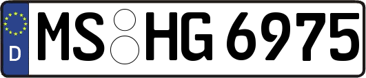 MS-HG6975