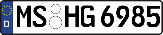 MS-HG6985