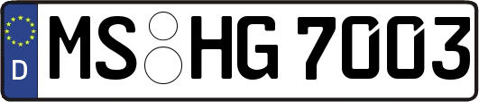 MS-HG7003