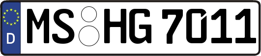MS-HG7011