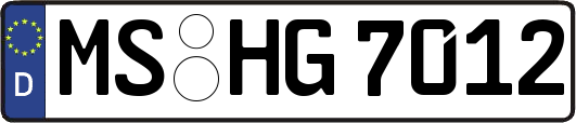 MS-HG7012