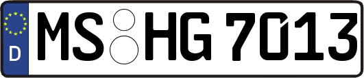 MS-HG7013