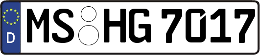 MS-HG7017