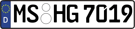 MS-HG7019