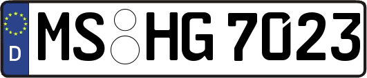 MS-HG7023