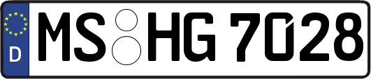 MS-HG7028