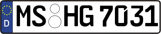 MS-HG7031