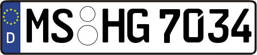 MS-HG7034
