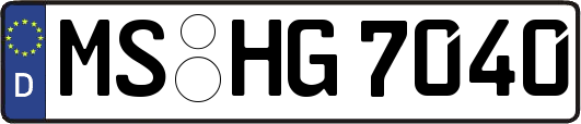 MS-HG7040