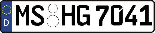 MS-HG7041