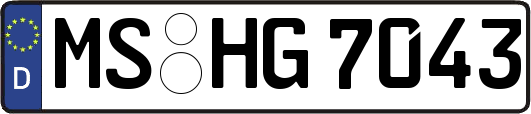 MS-HG7043