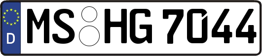 MS-HG7044