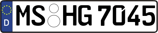 MS-HG7045