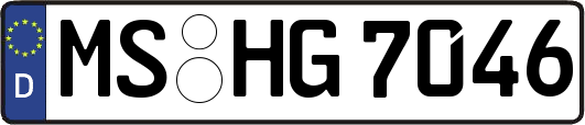 MS-HG7046