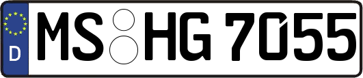 MS-HG7055