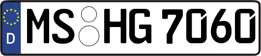 MS-HG7060