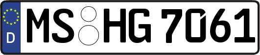 MS-HG7061
