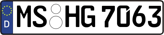 MS-HG7063