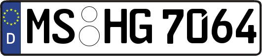 MS-HG7064
