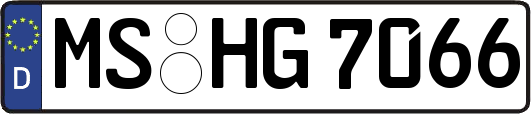 MS-HG7066