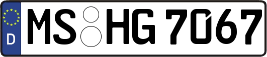 MS-HG7067