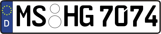 MS-HG7074