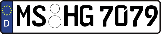 MS-HG7079