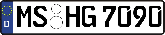 MS-HG7090