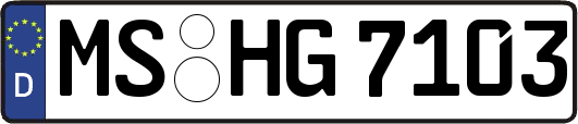 MS-HG7103