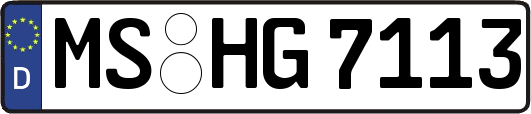 MS-HG7113
