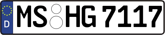 MS-HG7117
