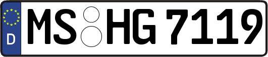 MS-HG7119