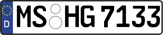 MS-HG7133
