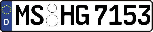MS-HG7153
