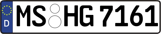MS-HG7161