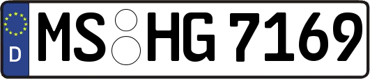 MS-HG7169