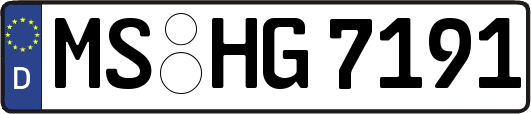 MS-HG7191