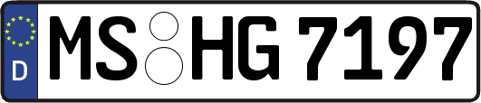 MS-HG7197