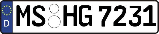 MS-HG7231