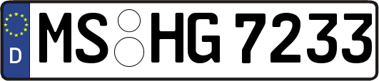 MS-HG7233
