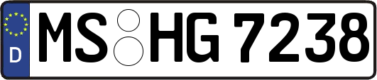 MS-HG7238