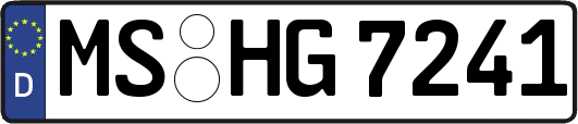 MS-HG7241