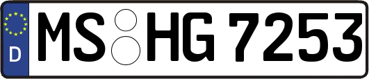 MS-HG7253