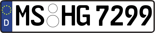 MS-HG7299