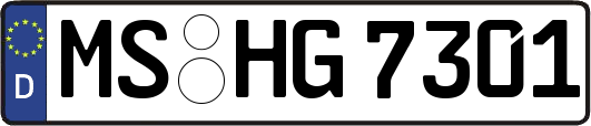 MS-HG7301