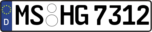 MS-HG7312